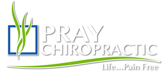 Chiropractic Dalton GA Pray Chiropractic LP Logo White Pray Chiropractic - Dalton LP Logo White Text
